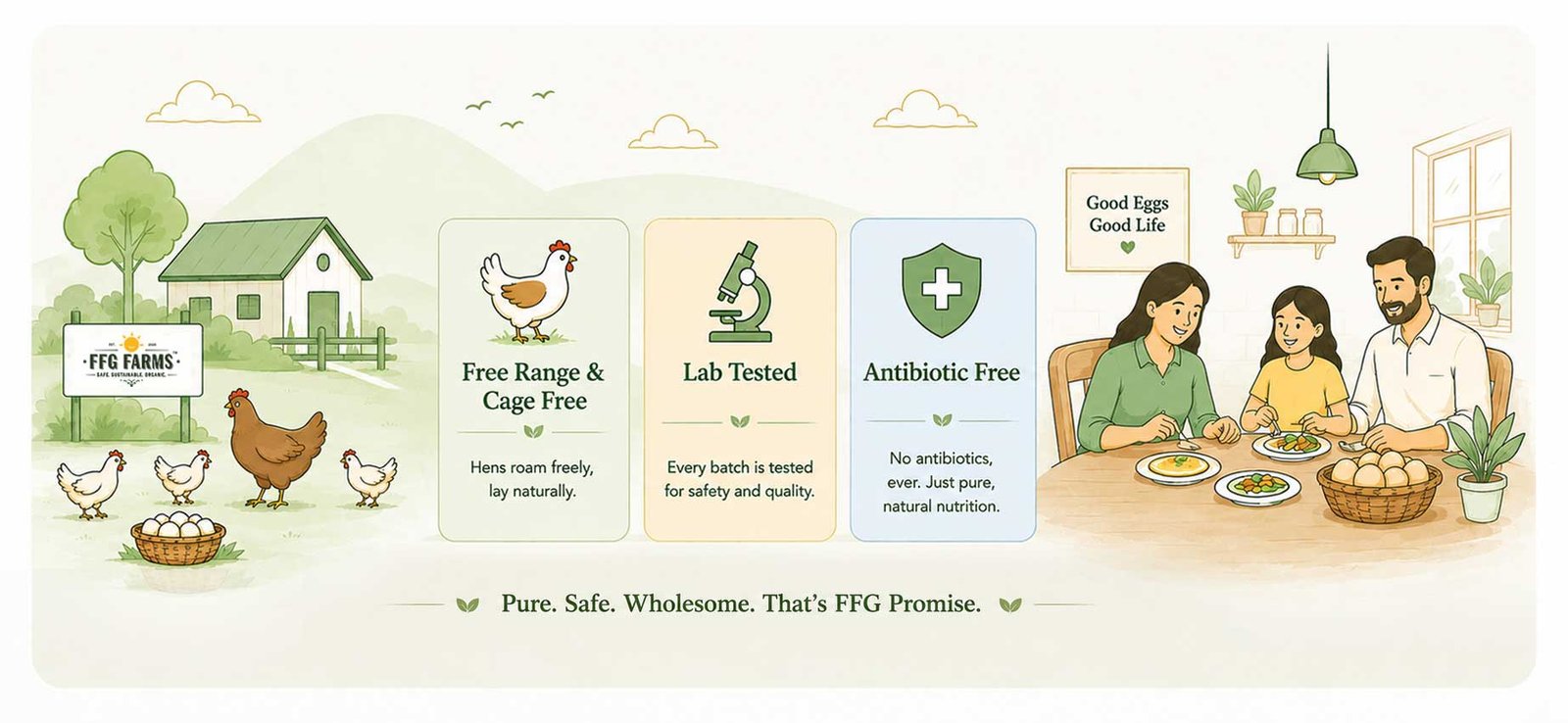 FFG Farms journey: from farm to certified delivery, quick-commerce ordering, supermarket shelves, and fresh on your table