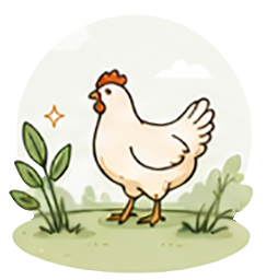 Better lives for hens